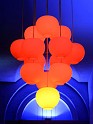 Opernball 2009   109